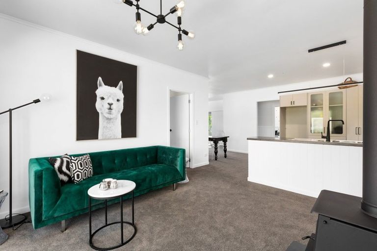 Photo of property in 608 Waihi Whangamata Road, Waihi, 3681