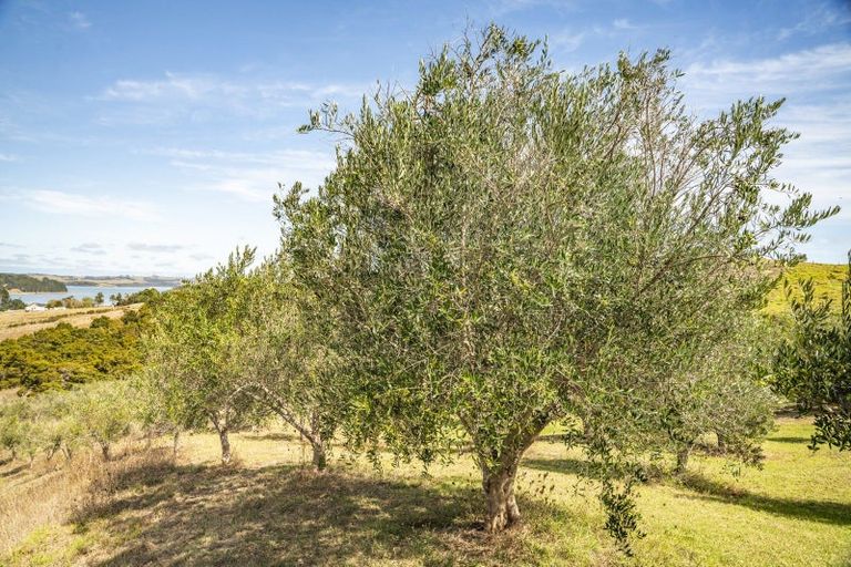 Photo of property in 241d Heatley Road, Whakapirau, Maungaturoto, 0583