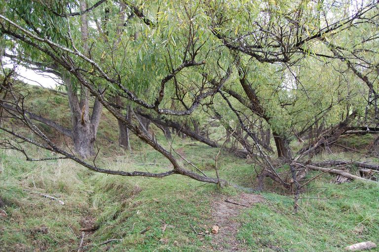 Photo of property in 24b Waterview Crescent, Kaiwaka, 0573