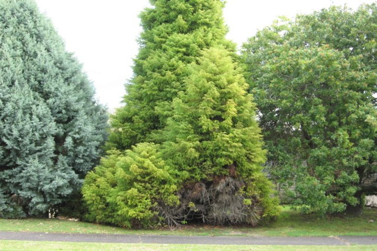 Photo of property in 52 Cumberland Crescent, Welcome Bay, Tauranga, 3112