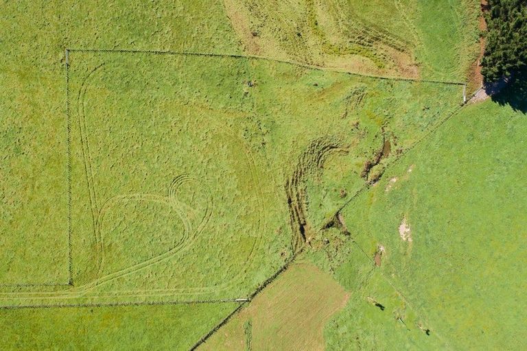 Photo of property in 172 Stewart Road, Feilding, 4479