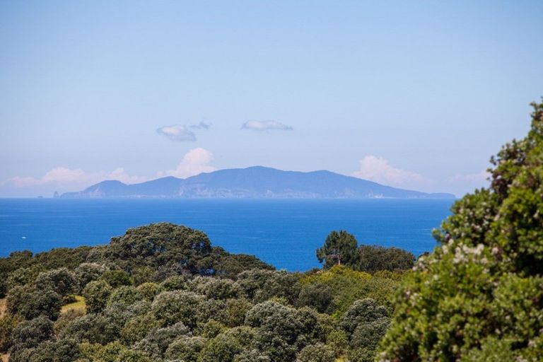 Photo of property in 442 Onemana Drive, Onemana, Whangamata, 3691