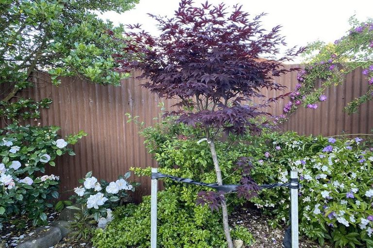 Photo of property in 100 Centennial Avenue, Waitara, 4320