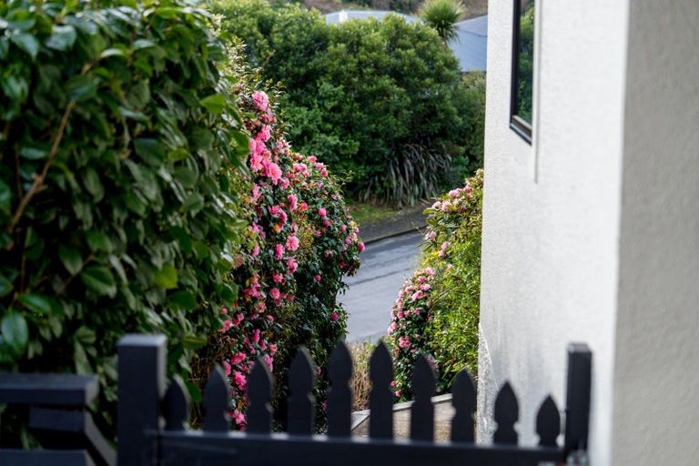 Photo of property in 162 Somerville Street, Waverley, Dunedin, 9013