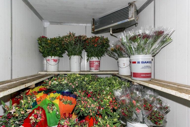 Photo of property in 1066 Egmont Road, Egmont Village, New Plymouth, 4372