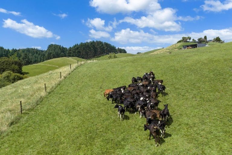 Photo of property in 54 Kentucky Road, Karapiro, Cambridge, 3494