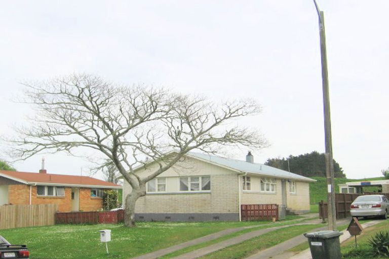 Photo of property in 45 Sain Crescent, Morrinsville, 3300