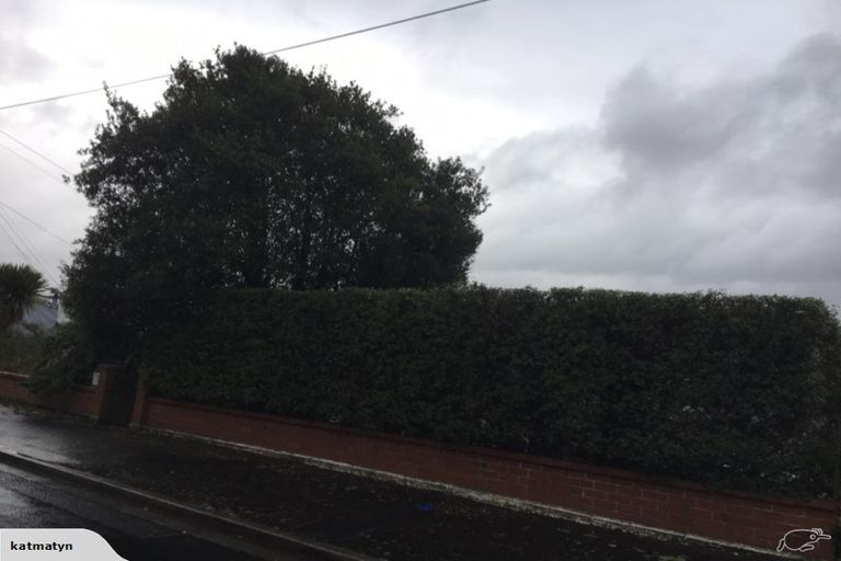 Photo of property in 125 Evans Street, Opoho, Dunedin, 9010