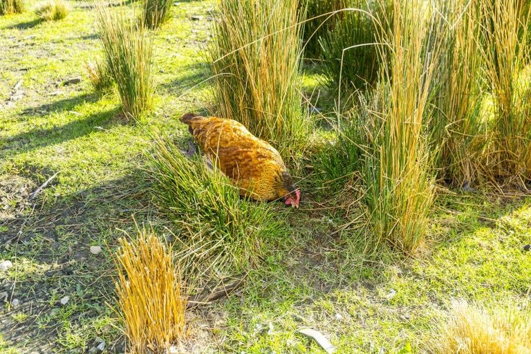 Photo of property in 147 Upper Fitzherbert Road, Wainuiomata, 5373