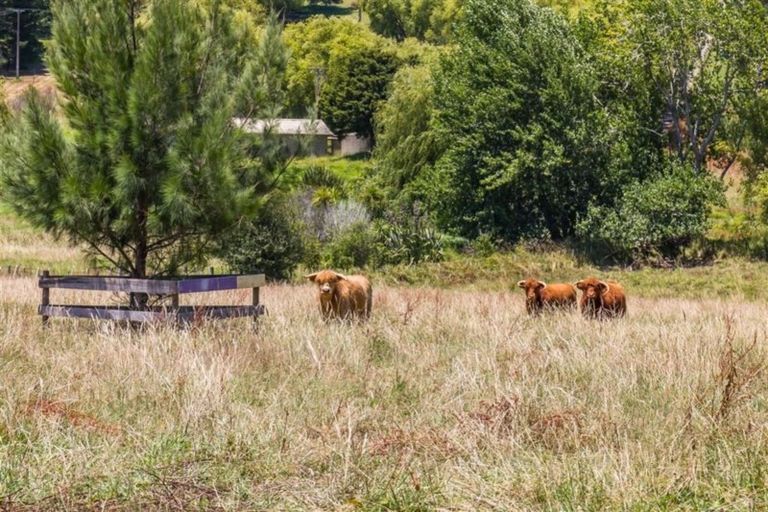 Photo of property in 193 Pine Valley Road, Dairy Flat, Silverdale, 0992