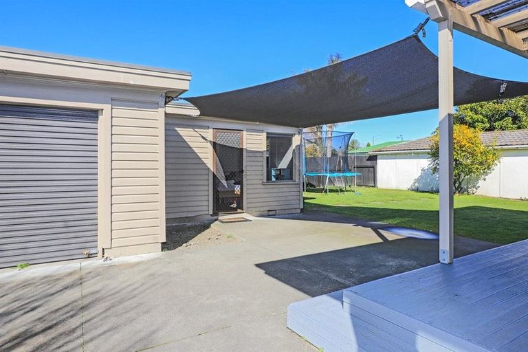 Photo of property in 805 Rimu Street, Mahora, Hastings, 4120