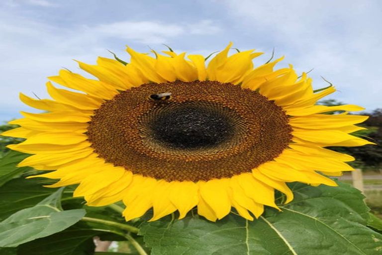 Photo of property in 106 Steele Road, Manawaru, Te Aroha, 3391