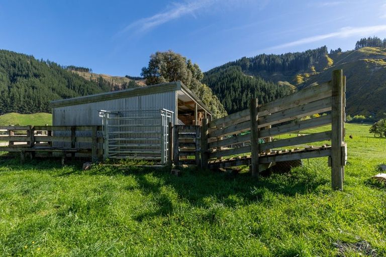 Photo of property in 208 Mount Riley Road, Okaramio, Havelock, 7178