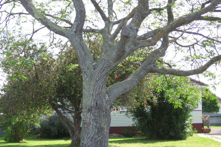 Photo of property in 60 Centennial Crescent, Te Hapara, Gisborne, 4010