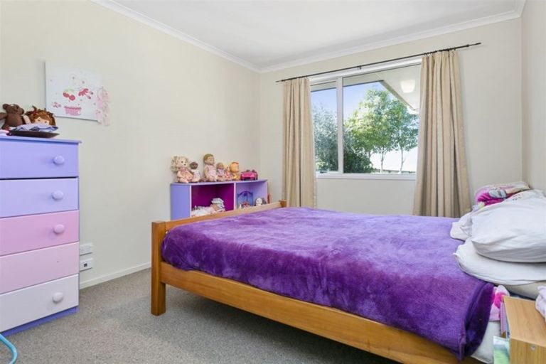 Photo of property in 376 Morgan Road, Matamata, 3472