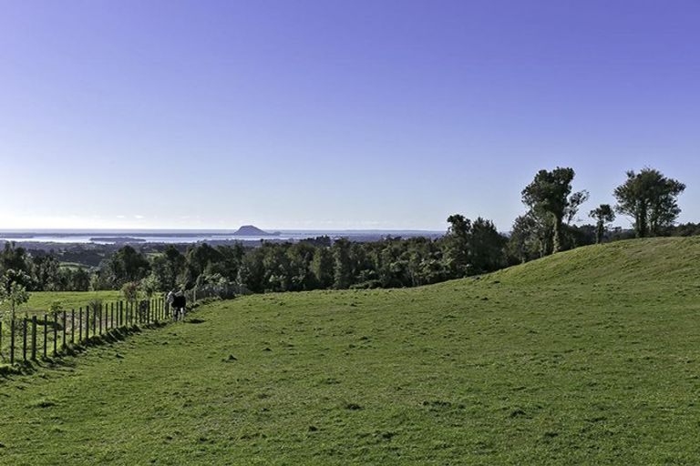 Photo of property in 1039d Work Road, Whakamarama, 3181