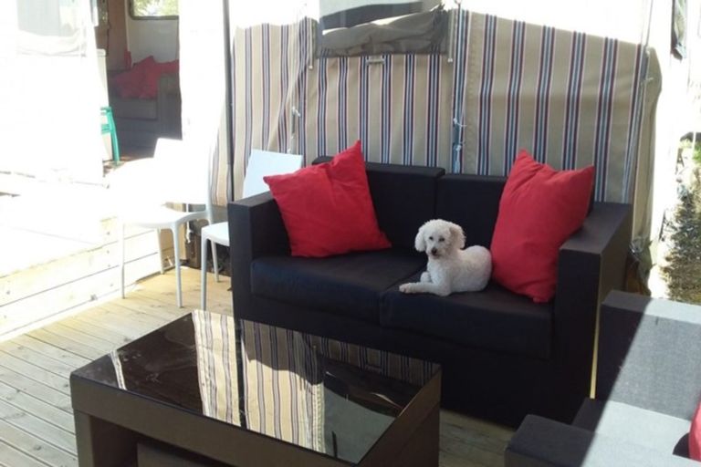 Photo of property in 1131 Hikuai Settlement Road, Pauanui, Hikuai, 3579