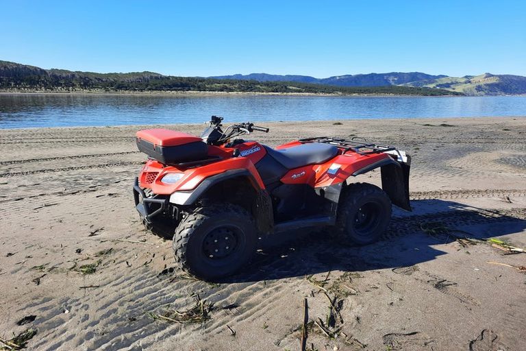 Photo of property in 134 Maunsell Road, Port Waikato, Tuakau, 2695