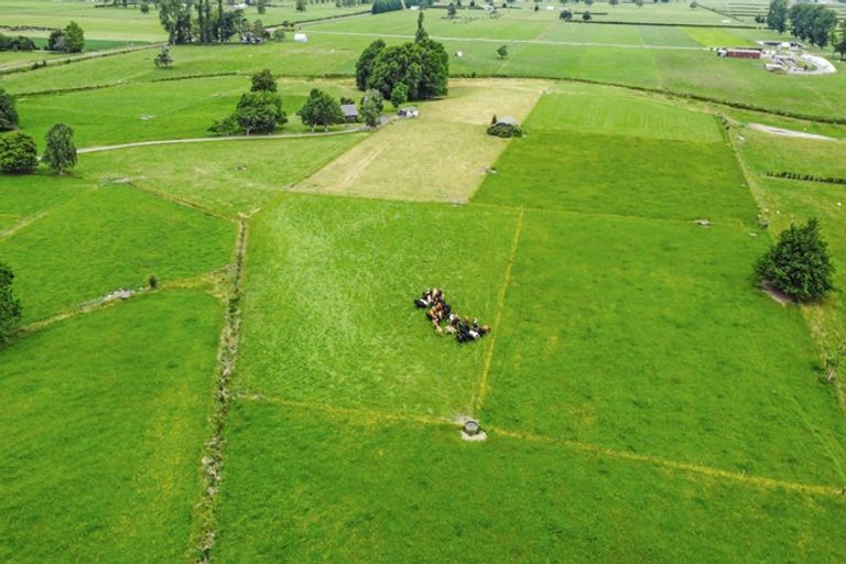 Photo of property in 728 Horrell Road, Morrinsville, 3374