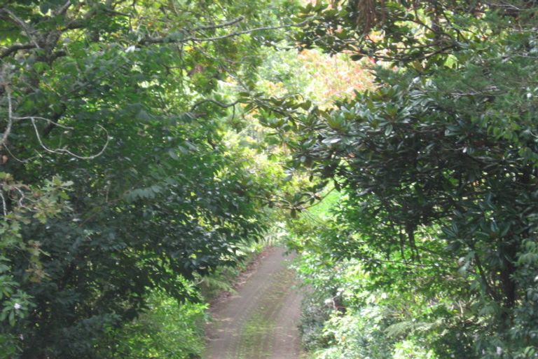 Photo of property in 6 South Lynn Road, Titirangi, Auckland, 0604