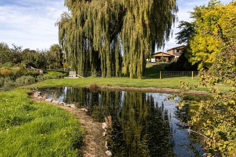 Photo of property in 21 Grange Settlement Road, Temuka, 7920