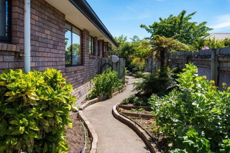 Photo of property in 99 Redwood Street, Redwoodtown, Blenheim, 7201