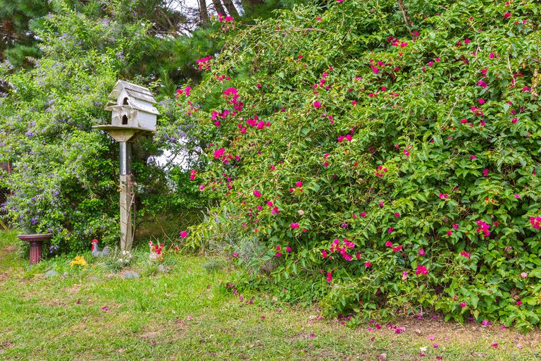 Photo of property in 65 Williams Road, Glenbrook, Waiuku, 2681