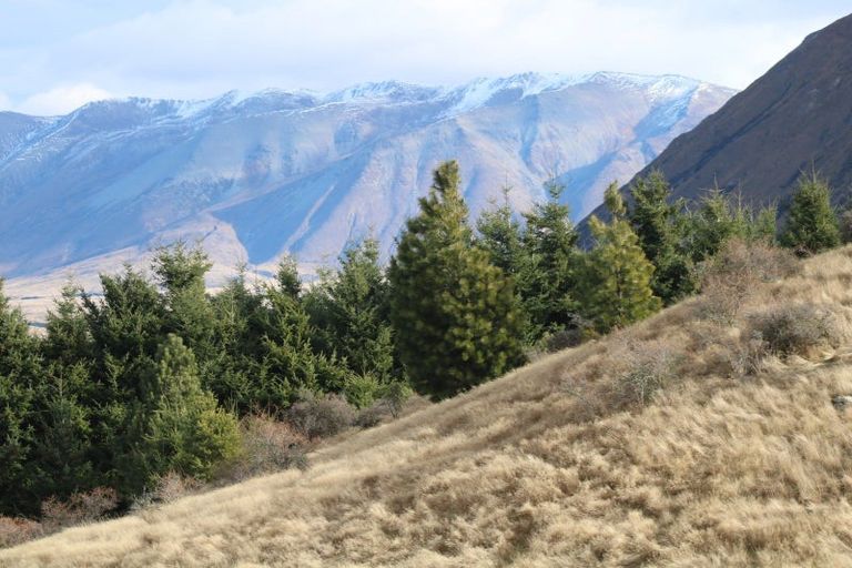 Photo of property in 421 Manuka Terrace, Ben Ohau, Twizel, 7999