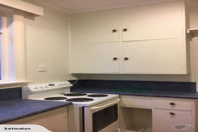 Photo of property in 125 Evans Street, Opoho, Dunedin, 9010