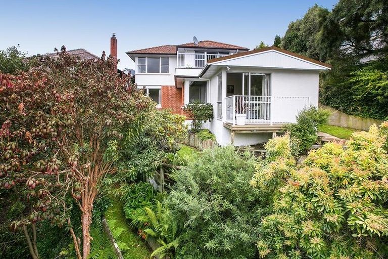 Photo of property in 33 Erin Street, Roslyn, Dunedin, 9010