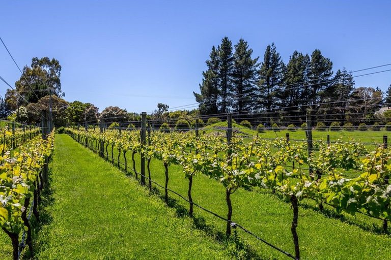 Photo of property in 822 Chester Road, West Taratahi, Carterton, 5791