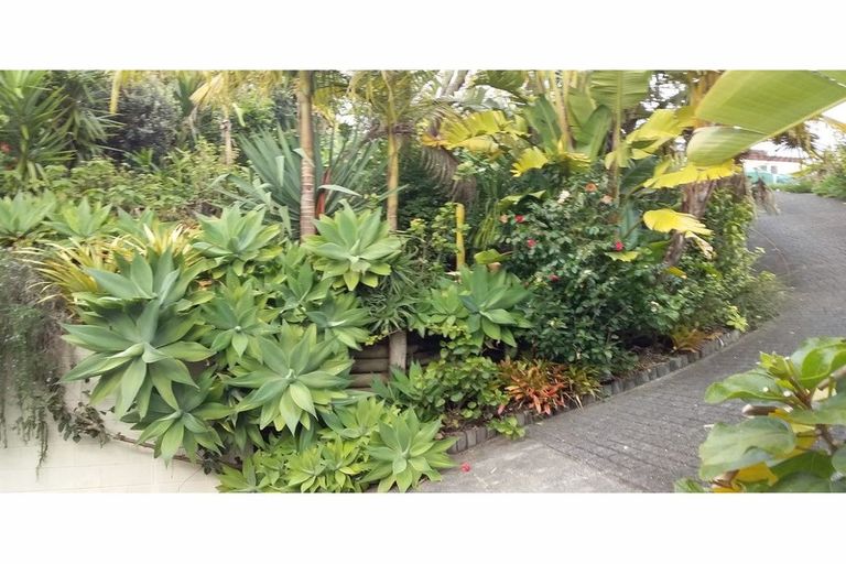 Photo of property in 2 Ashby Street, Russell, 0202