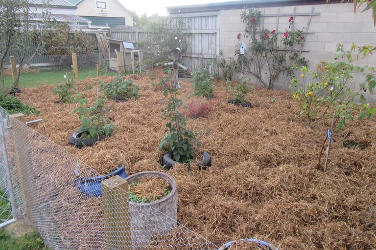 Photo of property in 36 Opie Street, Waimate, 7924