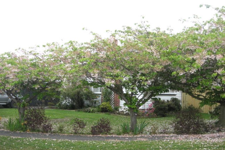 Photo of property in 3 Kingston Place, Bishopdale, Christchurch, 8053