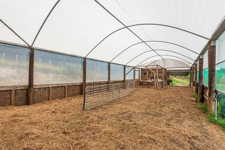 Photo of property in 114 Hay Road, Helena Bay, Hikurangi, 0184