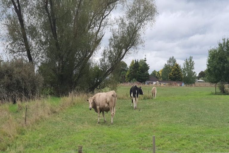 Photo of property in 4 Herbert Street, Te Aroha, 3320