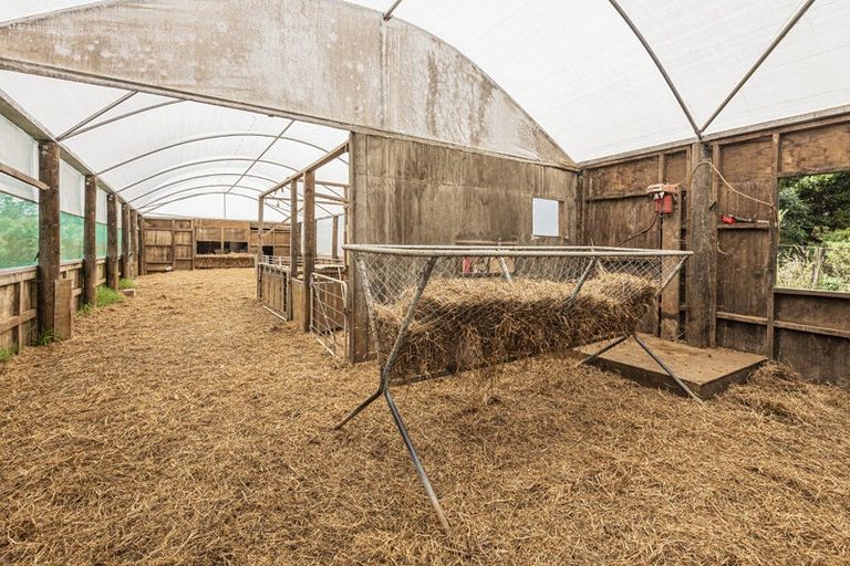 Photo of property in 114 Hay Road, Helena Bay, Hikurangi, 0184