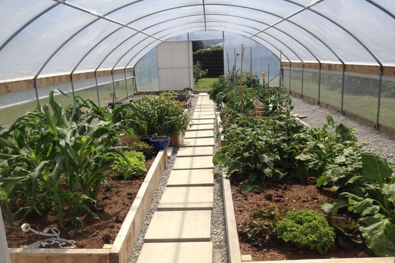 Photo of property in 19 King Street, Waimate, 7924