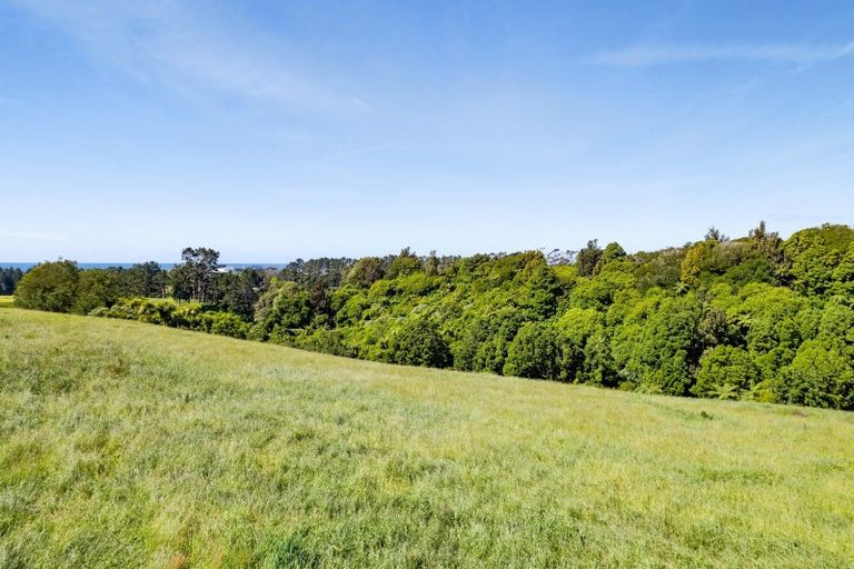 Photo of property in 203 Henwood Road, Westgate, 0814