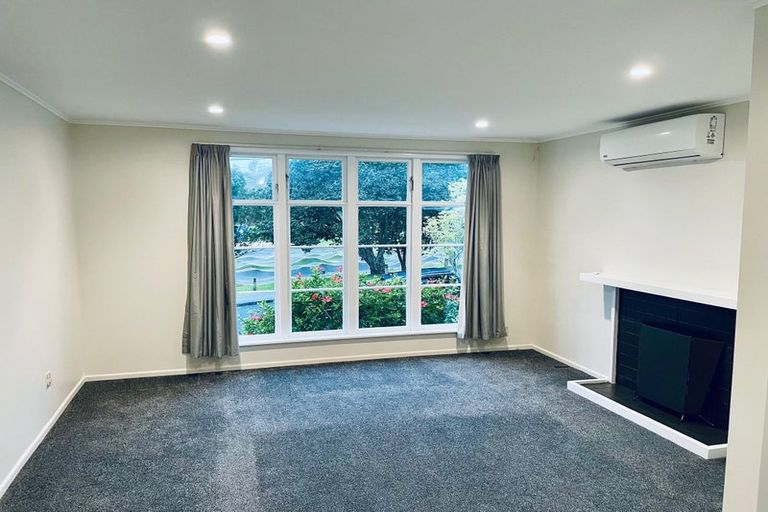 Photo of property in 48 Dryden Street, Grey Lynn, Auckland, 1021