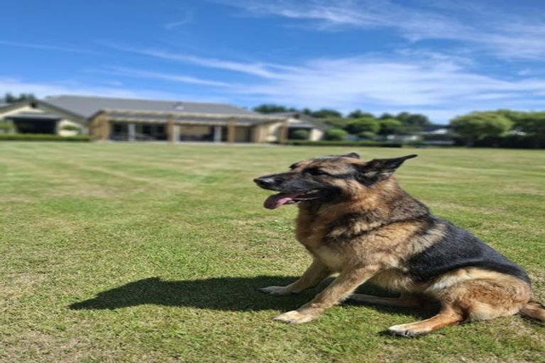 Photo of property in 4 Devine Drive, Rolleston, Christchurch, 7678