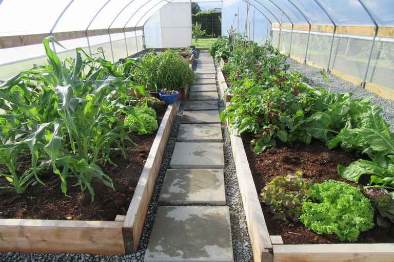 Photo of property in 19 King Street, Waimate, 7924