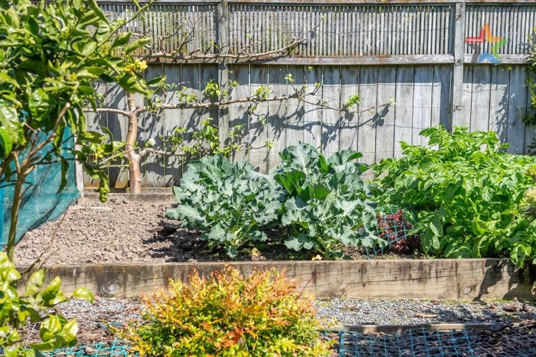 Photo of property in 63 Pretoria Street, Hutt Central, Lower Hutt, 5010