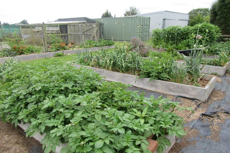 Photo of property in 19 King Street, Waimate, 7924