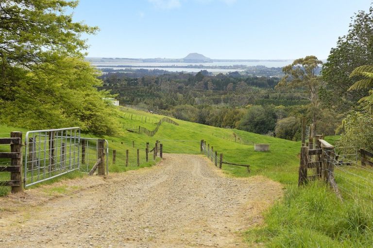 Photo of property in 413b Busby Road, Tahawai, Katikati, 3170
