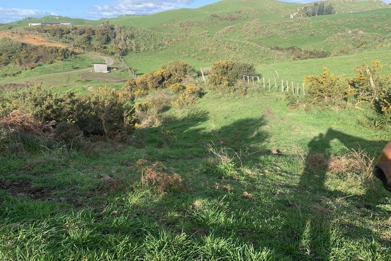 Photo of property in 925 Ngaroma Road, Wharepuhunga, Te Awamutu, 3874