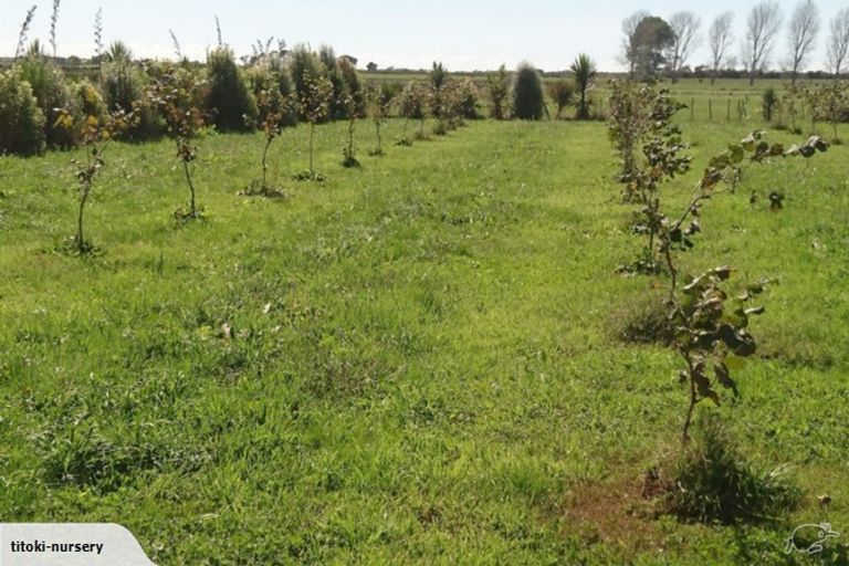 Photo of property in 324 Greig Road, Matata, Whakatane, 3194