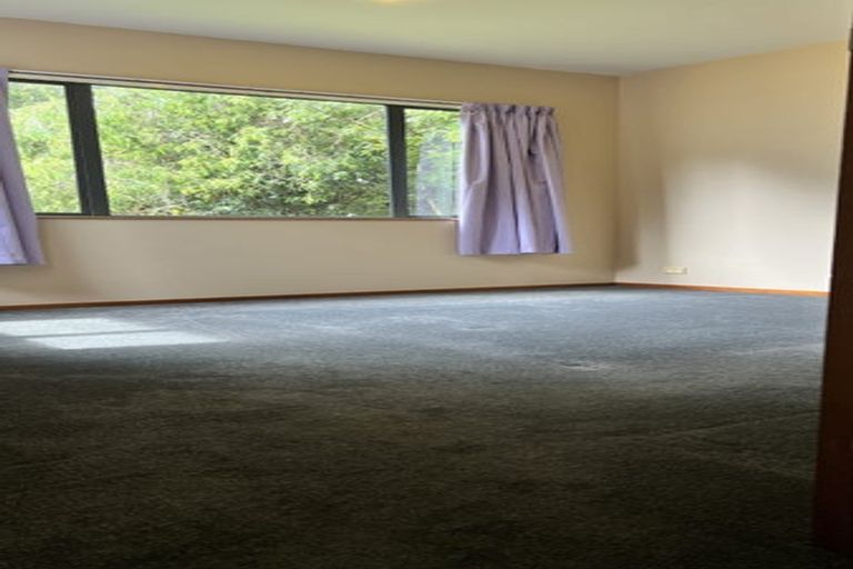 Photo of property in 29a Auld Street, Torbay, Auckland, 0630