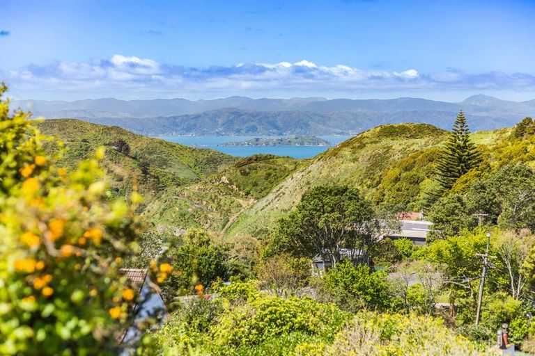 Photo of property in 93 Burma Road, Broadmeadows, Wellington, 6035