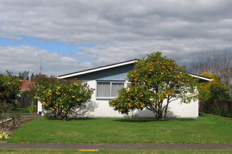 Photo of property in 25 Te Hono Street, Maungatapu, Tauranga, 3112